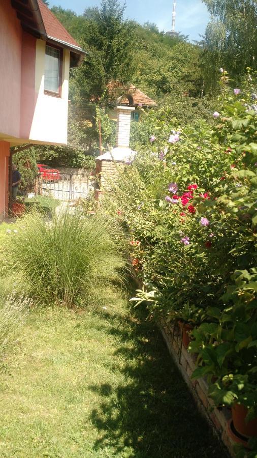 Apartman House Annesa Sarajevo Exterior photo